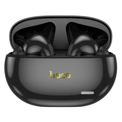 EW60 Plus wireless earbuds with ANC